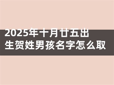 2025年十月廿五出生贺姓男孩名字怎么取