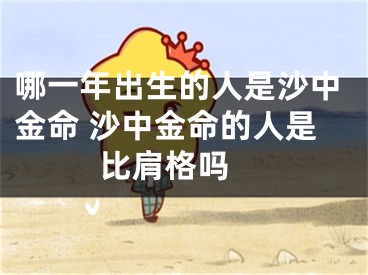 哪一年出生的人是沙中金命 沙中金命的人是比肩格吗 
