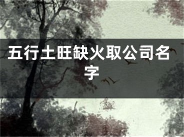 五行土旺缺火取公司名字