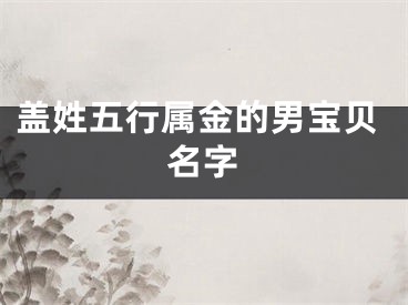 盖姓五行属金的男宝贝名字