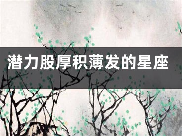 潜力股厚积薄发的星座