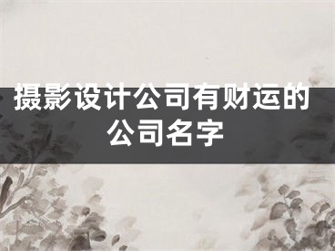 摄影设计公司有财运的公司名字