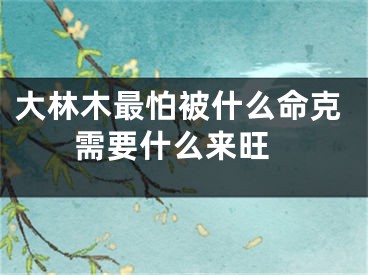 大林木最怕被什么命克 需要什么来旺