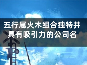 五行属火木组合独特并具有吸引力的公司名