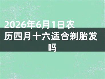 2026年6月1日农历四月十六适合剃胎发吗