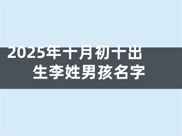 2025年十月初十出生李姓男孩名字