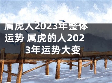 属虎人2023年整体运势 属虎的人2023年运势大变