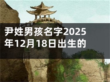 尹姓男孩名字2025年12月18日出生的