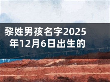 黎姓男孩名字2025年12月6日出生的