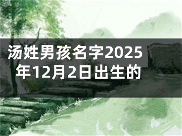 汤姓男孩名字2025年12月2日出生的