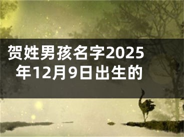 贺姓男孩名字2025年12月9日出生的
