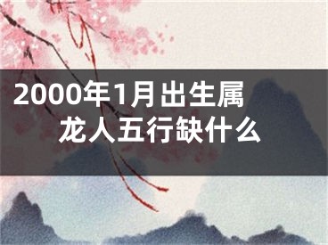 2000年1月出生属龙人五行缺什么