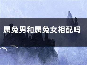 属兔男和属兔女相配吗