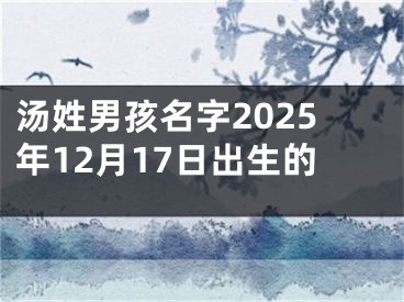 汤姓男孩名字2025年12月17日出生的