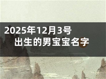 2025年12月3号出生的男宝宝名字