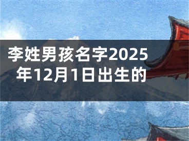 李姓男孩名字2025年12月1日出生的