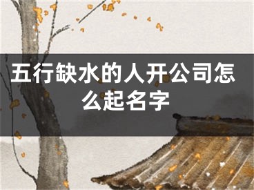 五行缺水的人开公司怎么起名字