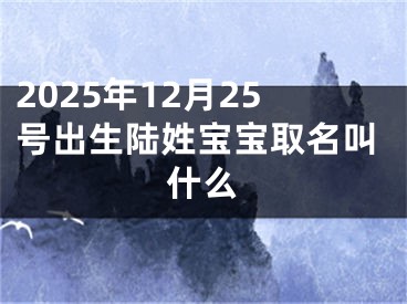 2025年12月25号出生陆姓宝宝取名叫什么