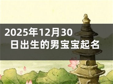 2025年12月30日出生的男宝宝起名