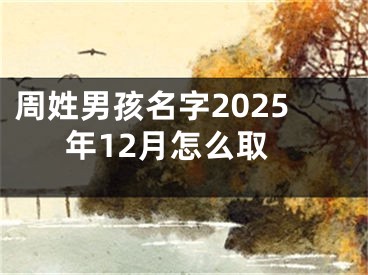 周姓男孩名字2025年12月怎么取