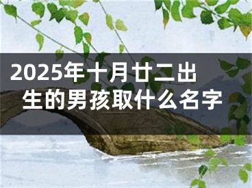 2025年十月廿二出生的男孩取什么名字
