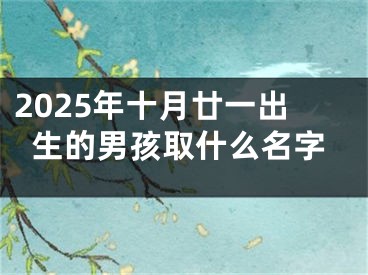 2025年十月廿一出生的男孩取什么名字