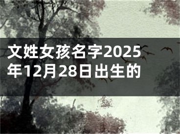 文姓女孩名字2025年12月28日出生的