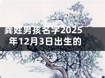 龚姓男孩名字2025年12月3日出生的