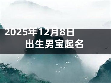 2025年12月8日出生男宝起名