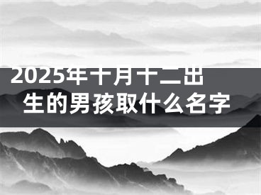 2025年十月十二出生的男孩取什么名字