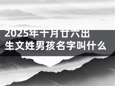 2025年十月廿六出生文姓男孩名字叫什么