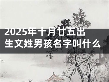 2025年十月廿五出生文姓男孩名字叫什么