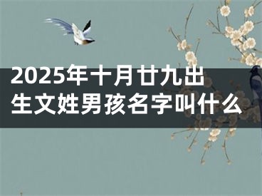 2025年十月廿九出生文姓男孩名字叫什么