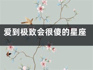 爱到极致会很傻的星座