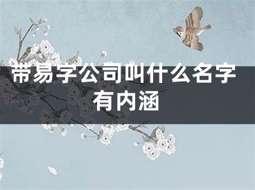 带易字公司叫什么名字有内涵