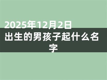 2025年12月2日出生的男孩子起什么名字