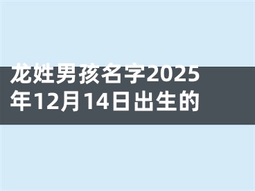 龙姓男孩名字2025年12月14日出生的