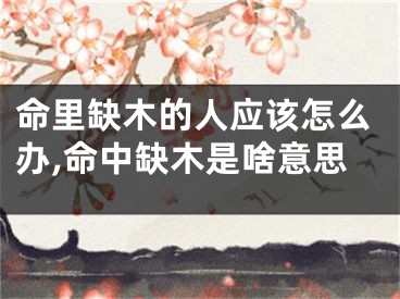 命里缺木的人应该怎么办,命中缺木是啥意思