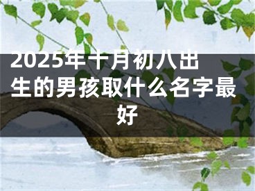 2025年十月初八出生的男孩取什么名字最好