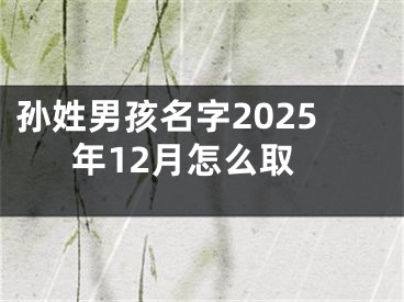 孙姓男孩名字2025年12月怎么取