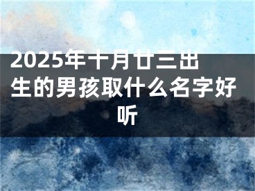 2025年十月廿三出生的男孩取什么名字好听