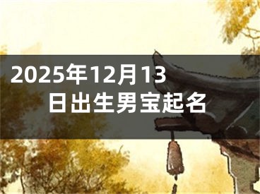 2025年12月13日出生男宝起名