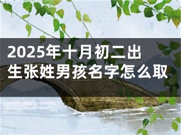 2025年十月初二出生张姓男孩名字怎么取
