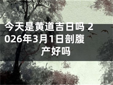 今天是黄道吉日吗 2026年3月1日剖腹产好吗