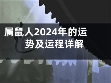 属鼠人2024年的运势及运程详解