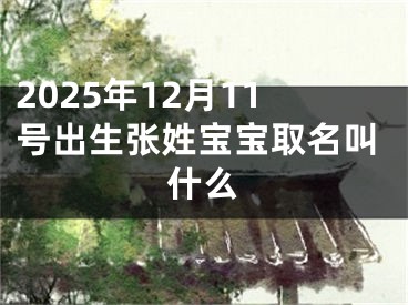 2025年12月11号出生张姓宝宝取名叫什么