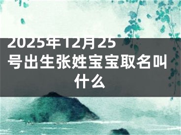2025年12月25号出生张姓宝宝取名叫什么