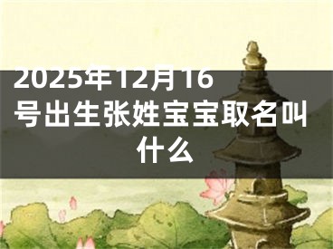 2025年12月16号出生张姓宝宝取名叫什么