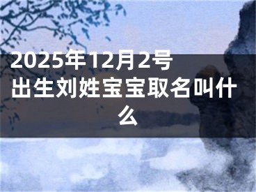 2025年12月2号出生刘姓宝宝取名叫什么