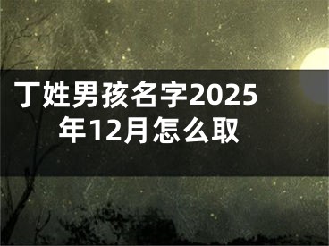 丁姓男孩名字2025年12月怎么取